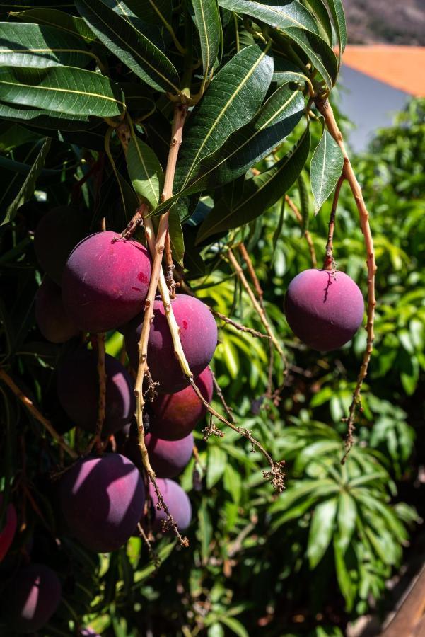 Finca El Moral Puerto De Mogan Zewnętrze zdjęcie