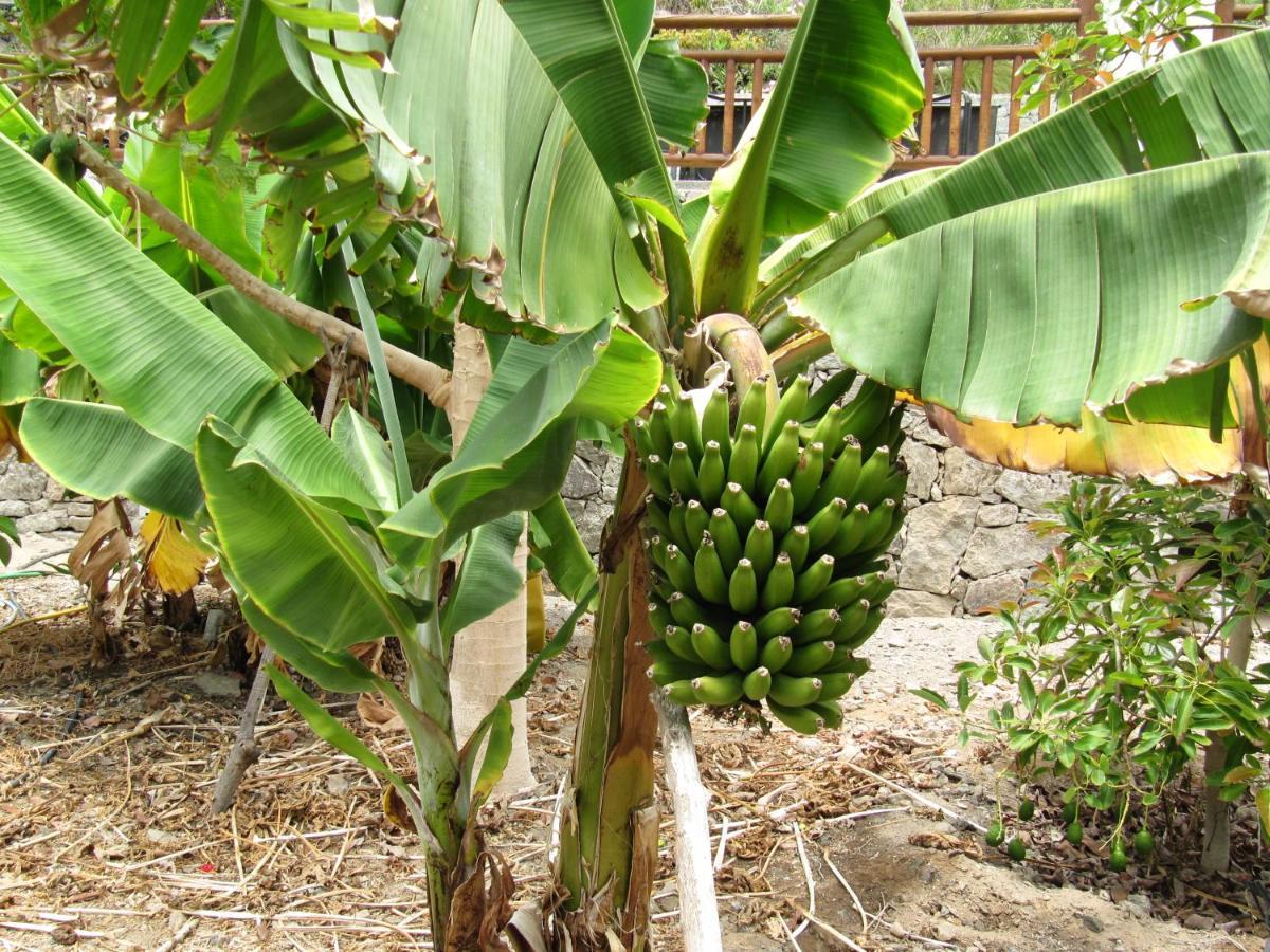 Finca El Moral Puerto De Mogan Zewnętrze zdjęcie