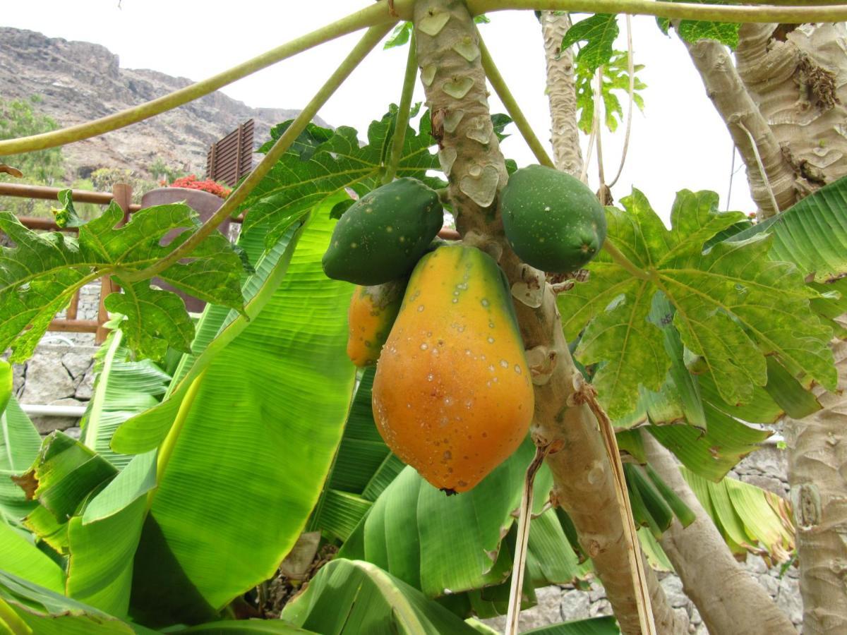 Finca El Moral Puerto De Mogan Zewnętrze zdjęcie